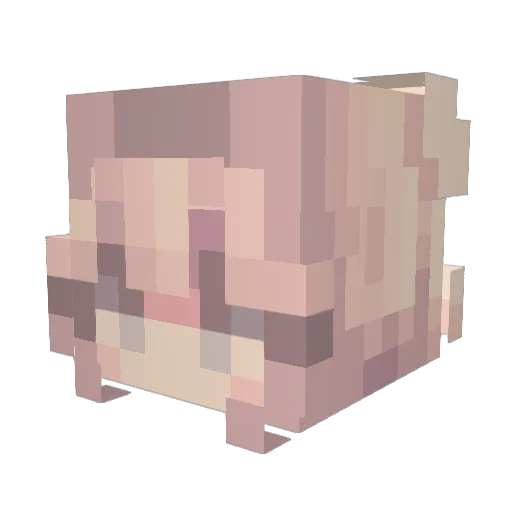 Calistari Minecraft avatar head, 3D render