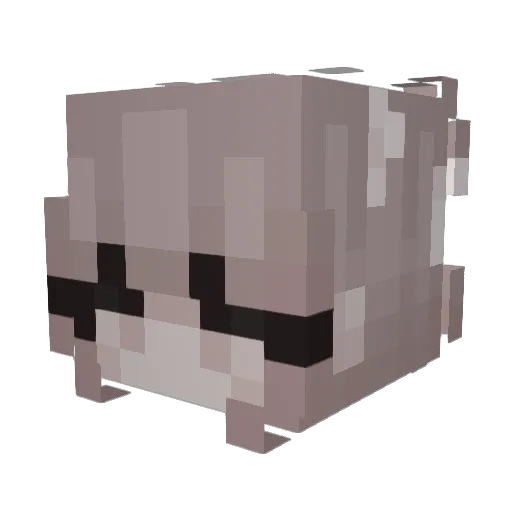 Calisthenicuber_ Minecraft avatar head, 3D render