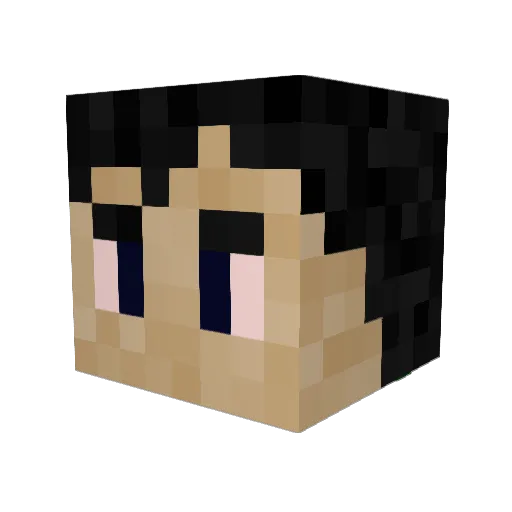 Caliv505 Minecraft avatar head, 3D render