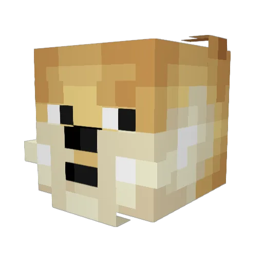 CallForAGoodTime Minecraft avatar head, 3D render