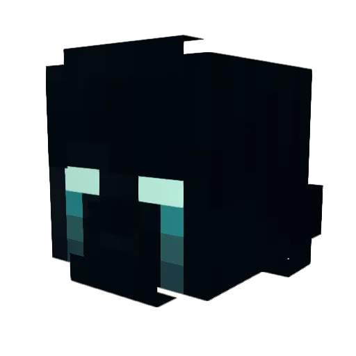 CallMeAce06 Minecraft avatar head, 3D render