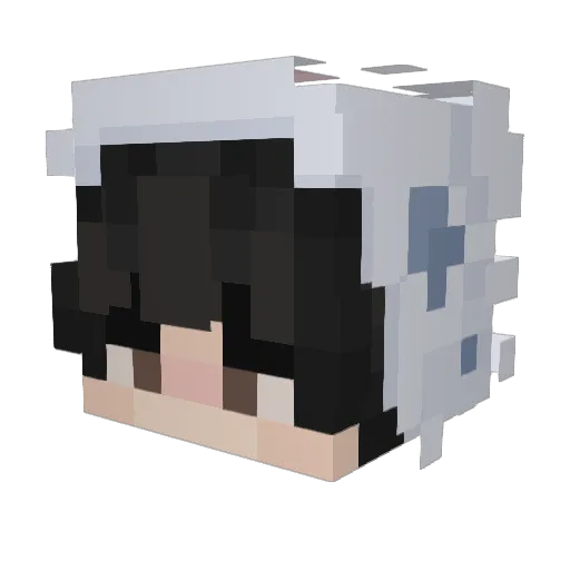 CallMeArmin Minecraft avatar head, 3D render