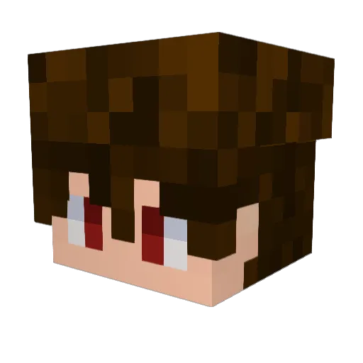 CallMeBilly11 Minecraft avatar head, 3D render