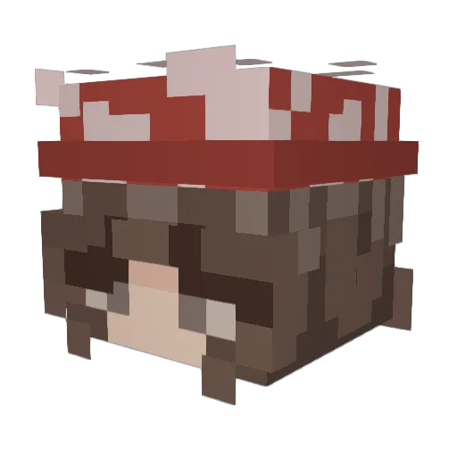 CallMeDee_ Minecraft avatar head, 3D render