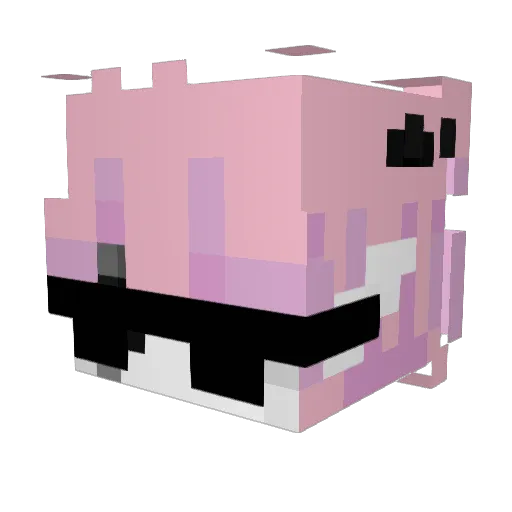 CallMeDen_ Minecraft avatar head, 3D render