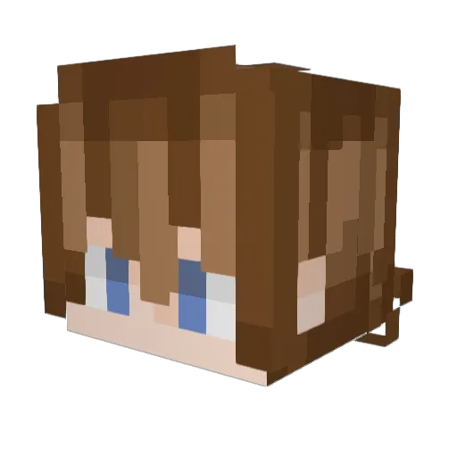 CallMeElliot613 Minecraft avatar head, 3D render
