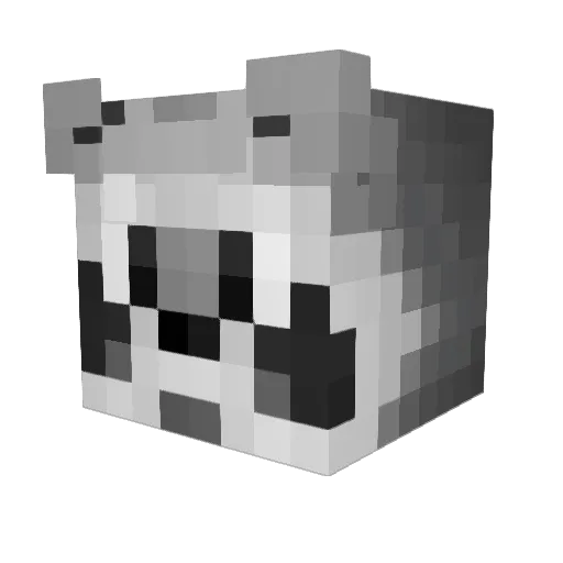 CallMeRaccoon Minecraft avatar head, 3D render
