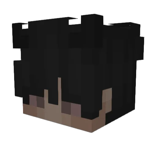 CallMeSKRT Minecraft avatar head, 3D render