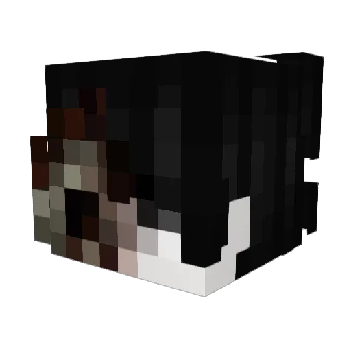 CallMeSweelts Minecraft avatar head, 3D render