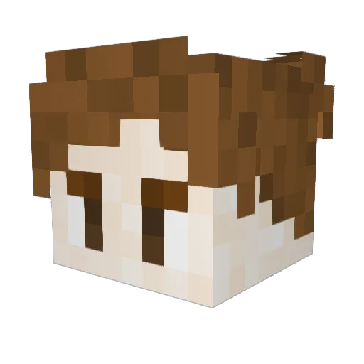 CallMeWhyze Minecraft avatar head, 3D render