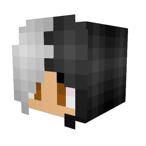 CallOfDutyRazeR Minecraft avatar head, 3D render