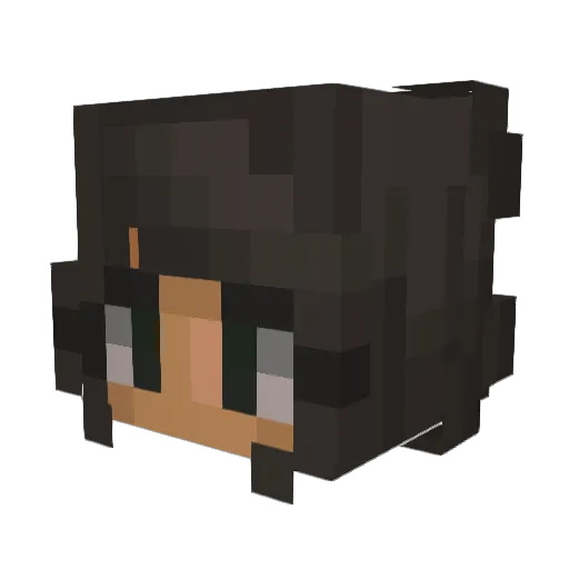 Calles Minecraft avatar head, 3D render