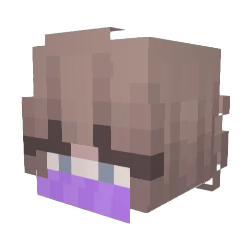 CallieBlade Minecraft avatar head, 3D render