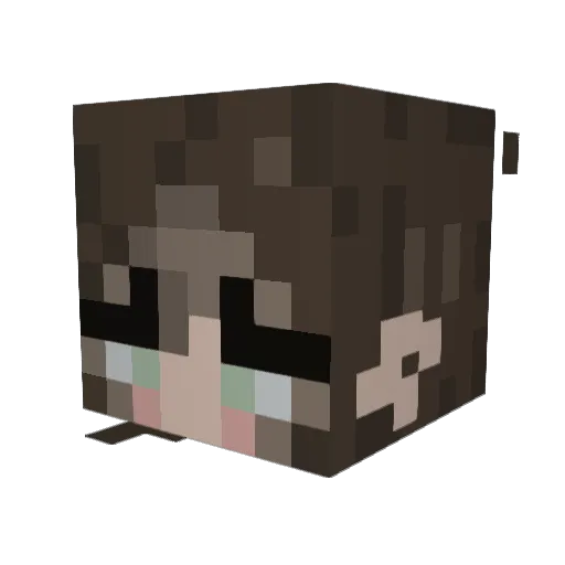CallieisSwag Minecraft avatar head, 3D render