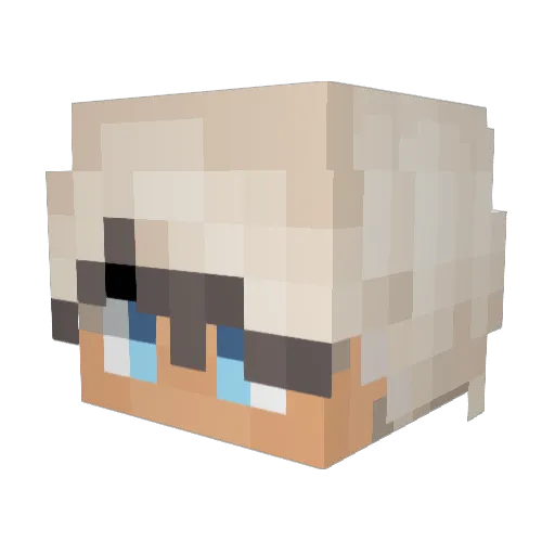 Calliwags Minecraft avatar head, 3D render