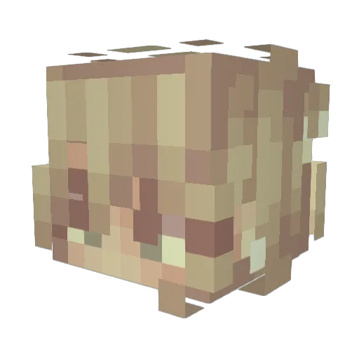 Callmekai22 Minecraft avatar head, 3D render