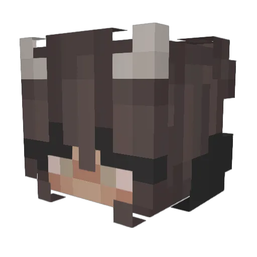 CallsignTonks Minecraft avatar head, 3D render