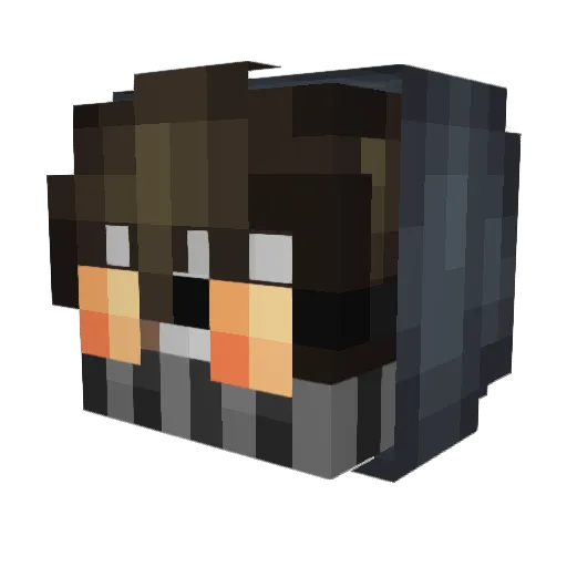 Callsign_Shin05 Minecraft avatar head, 3D render