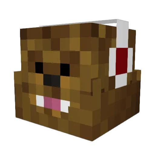 Callum_D123 Minecraft avatar head, 3D render