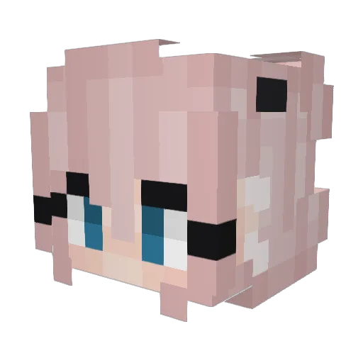 CallunaCat Minecraft avatar head, 3D render