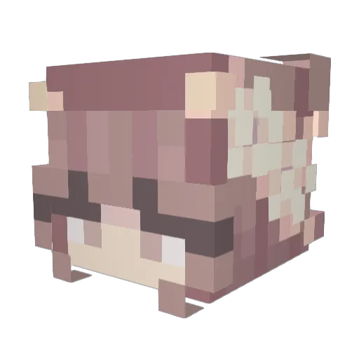 Calmalita Minecraft avatar head, 3D render