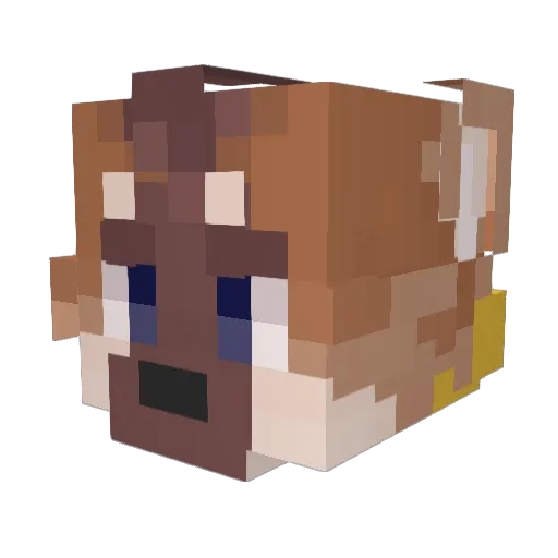 Calmingsxnity Minecraft avatar head, 3D render