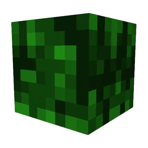 Calmwhale7286 Minecraft avatar head, 3D render