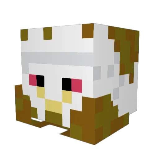 Cals_Zone Minecraft avatar head, 3D render