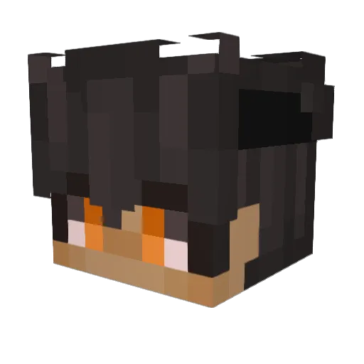 Calsoninnity Minecraft avatar head, 3D render