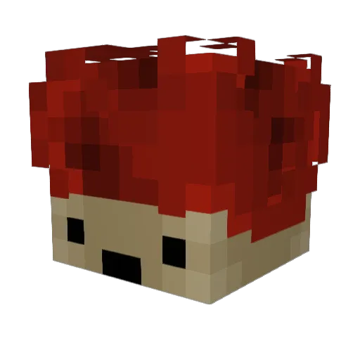 Calthrus Minecraft avatar head, 3D render