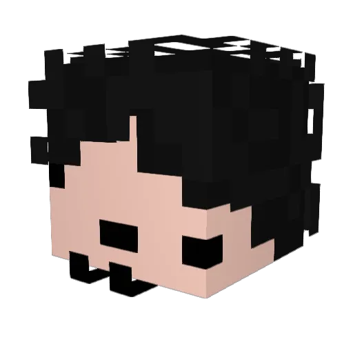 Calub__ Minecraft avatar head, 3D render