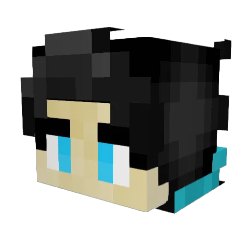 Calus_48 Minecraft avatar head, 3D render