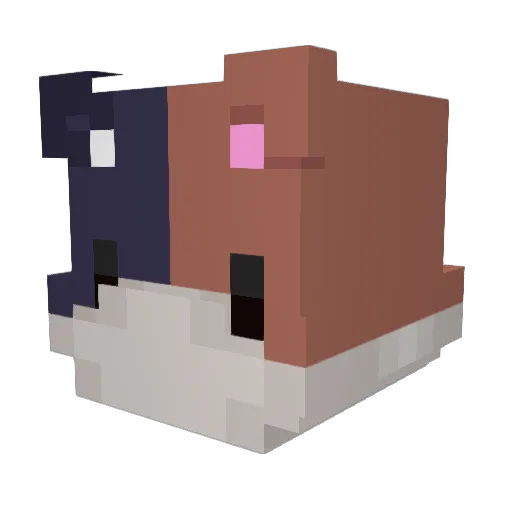Calux47 Minecraft avatar head, 3D render