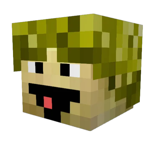CalvinDaHumann Minecraft avatar head, 3D render