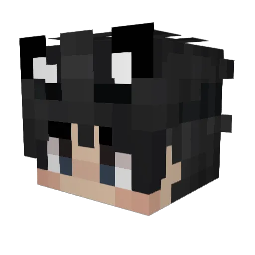 CalvinDerBoss05 Minecraft avatar head, 3D render