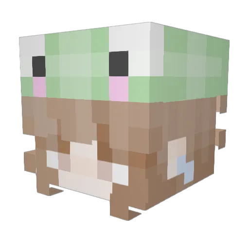 Calvin_The_Cat Minecraft avatar head, 3D render