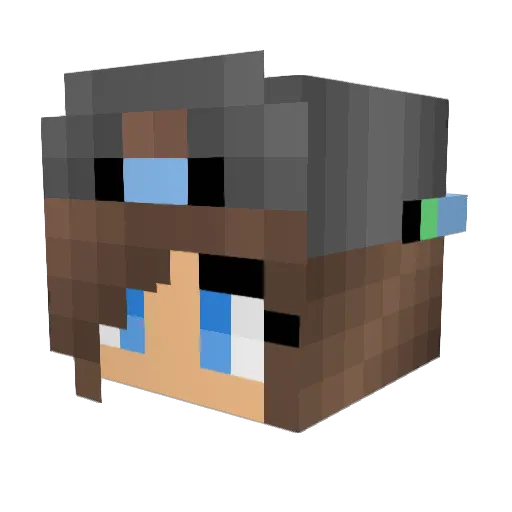 Calvincutie17 Minecraft avatar head, 3D render