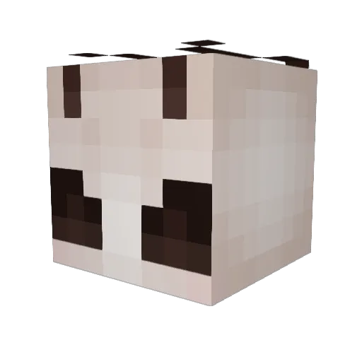Calypsial Minecraft avatar head, 3D render