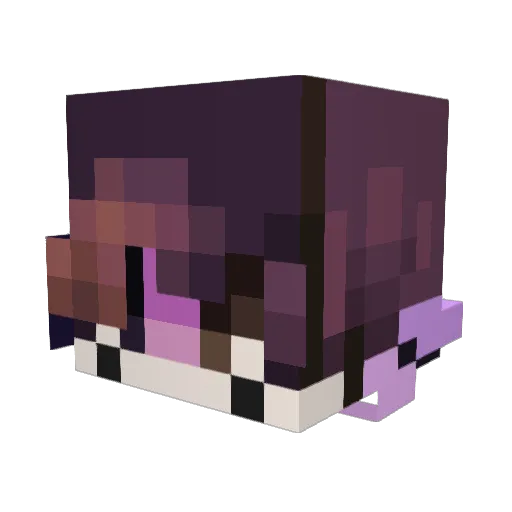 CalypsoSolitude Minecraft avatar head, 3D render