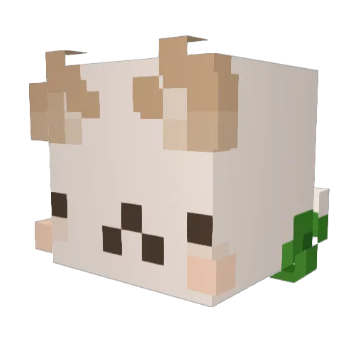 CalzoneCatt Minecraft avatar head, 3D render