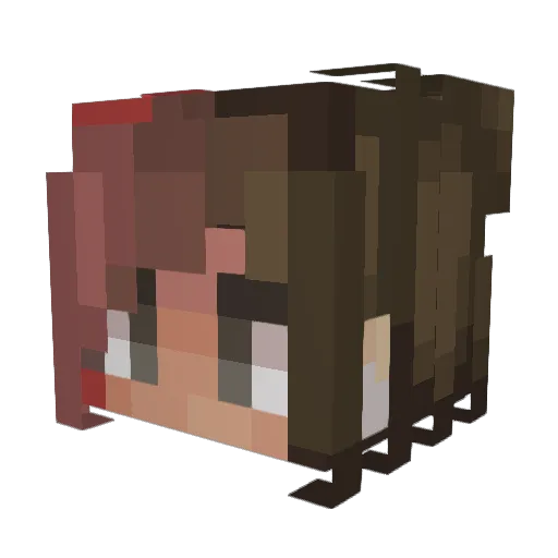 Cam51 Minecraft avatar head, 3D render