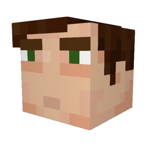 CamBam100 Minecraft avatar head, 3D render