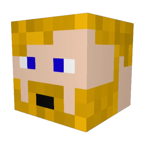 CamBrown678 Minecraft avatar head, 3D render
