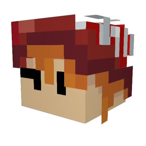 CamGravy Minecraft avatar head, 3D render