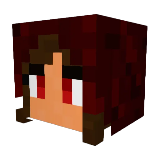 CamIris Minecraft avatar head, 3D render