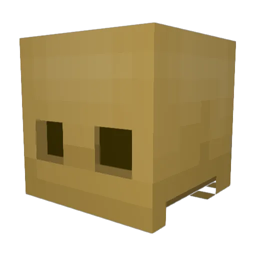 CamJSmitty Minecraft avatar head, 3D render