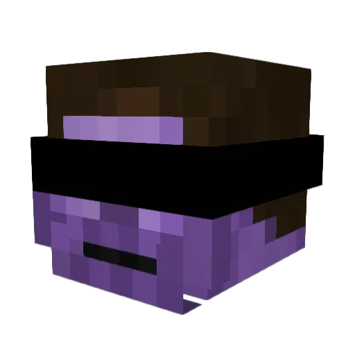 CamJonz8 Minecraft avatar head, 3D render