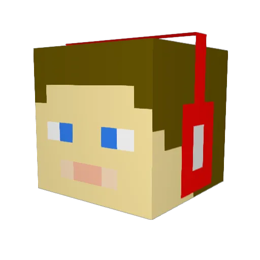 CamMeekins Minecraft avatar head, 3D render