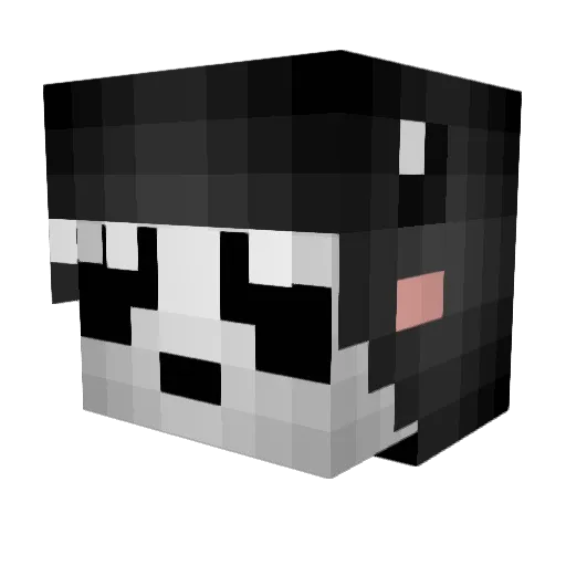 CamPvP Minecraft avatar head, 3D render