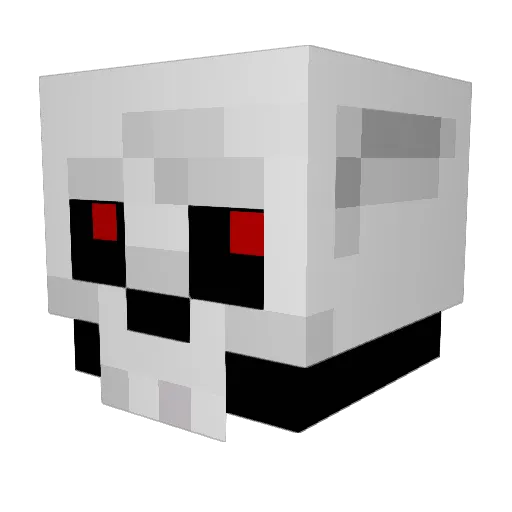 CamRad18 Minecraft avatar head, 3D render